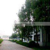 Yuci Changjin Hydraulics & Pneumatics Development Co., Ltd. company overview - view 3 thumbnail