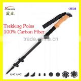 Wholesale Nordic carbon fiber walking stick nordic walking pole