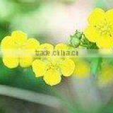 Eco- Solvent Frontlit PET Film thumbnail-1