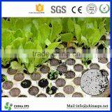 High Density Eps Virgin Polystyrene Foam for Polyfoam Box