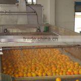 Citrus Processing Line for Produce Orange Juice thumbnail-5