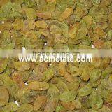 Best Price Top Quality Seeded  Raisin(golden,green,sultana,sun Dried) thumbnail-5