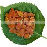 Health Care Products Korea Red Ginseng Slices thumbnail-4