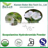 Bulk Supply White Crystalline Scopolamine-Powder-99%