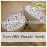 Inner Mongolia Best Quality Snow White Pumpkin Seed thumbnail-1
