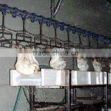 Slaughtering System Height Adjustable Electric Stunner for Chicken