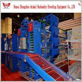 Professional Automatic Chicken Cage for Poultry Chicken Farm thumbnail-3