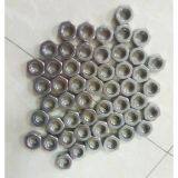 Duplex Steel 1.4462 Hex Nuts thumbnail-1