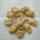 Textured Soya Nuggets Machinery From Jinan Eagle Company thumbnail-1