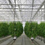 Agricultural Greenhouse thumbnail-2