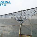 BLD Large Multi-span Plastic Film Greenhouse/agriculture Greenhouse thumbnail-1