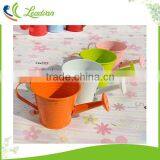 Best Sell Oval Design Decorative Color Painted Flower Metal Watering Cans for Sale thumbnail-3