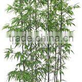 Artificial Lucky Bamboo Pole,real Trunk Bamboo Branches With Plastic Leaves thumbnail-1