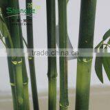 SJ13001218 Factory Outlet Thin Bamboo Stick Fence Artificial Bamboo Pole thumbnail-5