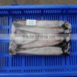 Squid Needle thumbnail-4