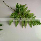 Best Selling Decorative Cut Leaf Learth Fern For Wedding Car Wholesale From YUNNAN thumbnail-5