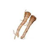 China (Mainland) Fresh Horseradish thumbnail-1