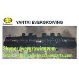 Track Shoe for TEREX DEMAG CC1800 Crawler Crane thumbnail-1