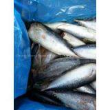 Supply Bonito HGT thumbnail-1