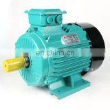 THREE PHASE ELECTRIC MOTOR thumbnail-2