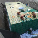 Stormwater Retention Tanks | GRAF Plastics Australia & China Supplier