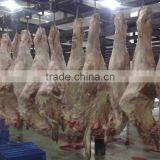 Meat Frozen Halal Buffalo Compensated thumbnail-1