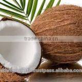 Fresh Coconut With Low Fat and High Protein thumbnail-6
