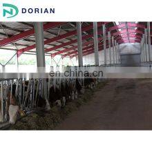 Poultry Steel Structure Shed Construction Chicken Sheds