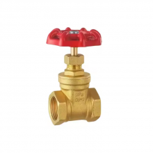 TF Brass Manual Gate Valve PN16 1-2 Inch NPT BSP Female Thread Forged for Water or Oil thumbnail-2