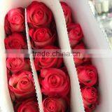 Newest Best Selling Multi-colored Fresh Cut Rose Flowers thumbnail-1