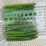 Frozen Green Asparagus Cuts thumbnail-1