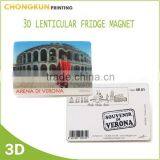 3D Lenticular Fridge Magnet, Tourist Fridge Magnet, Souvenir Fridge Magnet thumbnail-6
