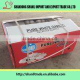 Purely Green Organic White Garlic 5pcsbag thumbnail-6