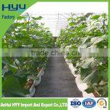 Weed Control Mat Ground Cover Polypropylene Sheet thumbnail-4