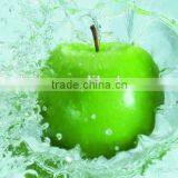 Xinxiang Leading Machinery Superior Quality For Surfing Yype Fruit Washing Machine thumbnail-5