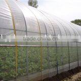 Cheap Plastic Film Greenhouse for Sale thumbnail-1