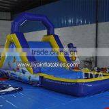 Frozen Inflatable Water Slides With Swimming Pool