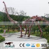 OA4019 Museum Quality Realistic Dinosaur Replica Model thumbnail-4