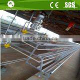 A Type Battery Broiler Chicken Cage/poultry Farm Automatic Chicken Cage for Sale thumbnail-4