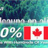 Beauty and Weight Losing Use Infrared Portable Wooden Sauna thumbnail-6