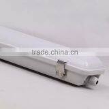 Frosted or Clear Cover LED 600mm Tri-Proof Light 20w IP65