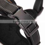 Dog Harness With Reflective Stitching thumbnail-3