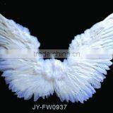 Wing