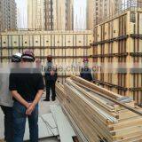 Senyu WPC Building Construction Template