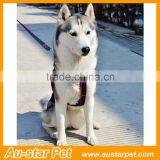 Amazon Best Sellers 2016 Portable Pet Colalrs Denim Dog Leashes and Harnesses