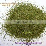 Gymnema Sylvestre T Cut / Gurmar / Gymnema Leaves