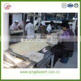 Good Quality Shandong Peanut in Shell With Best Price thumbnail-6
