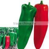 China Red Ox-horn Pepper Seed Super Red No.2 thumbnail-1