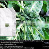 California Bell Pepper Protective Bag thumbnail-4