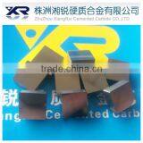 Tungsten Carbide Insert SNMN090304